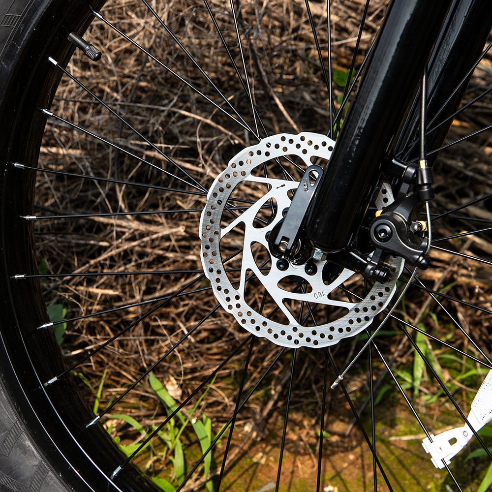 High - Performance Electric Bike – 1000W, 26x4.0 Fat Tire - eilstore.com