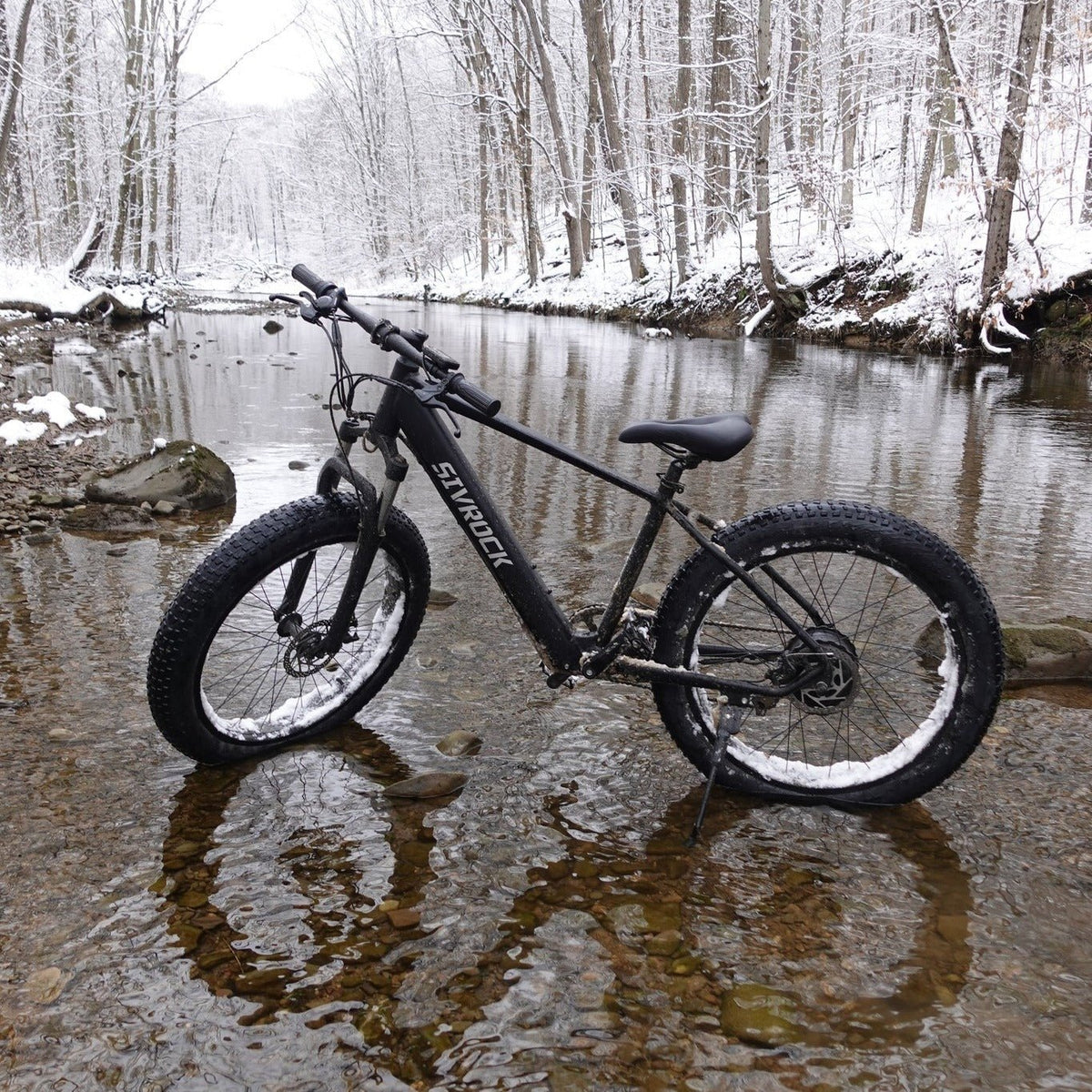 High - Performance Electric Bike – 1000W, 26x4.0 Fat Tire - eilstore.com