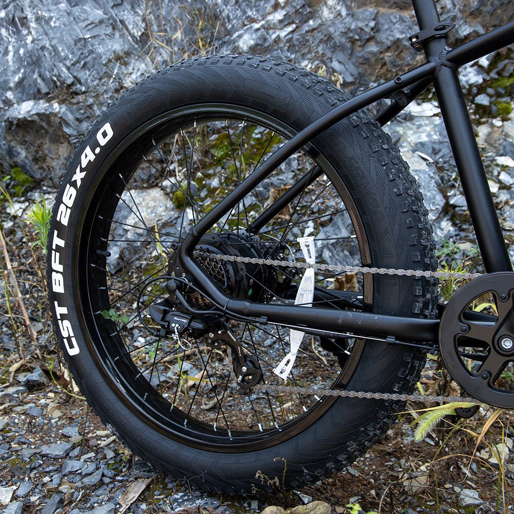 High - Performance Electric Bike – 1000W, 26x4.0 Fat Tire - eilstore.com